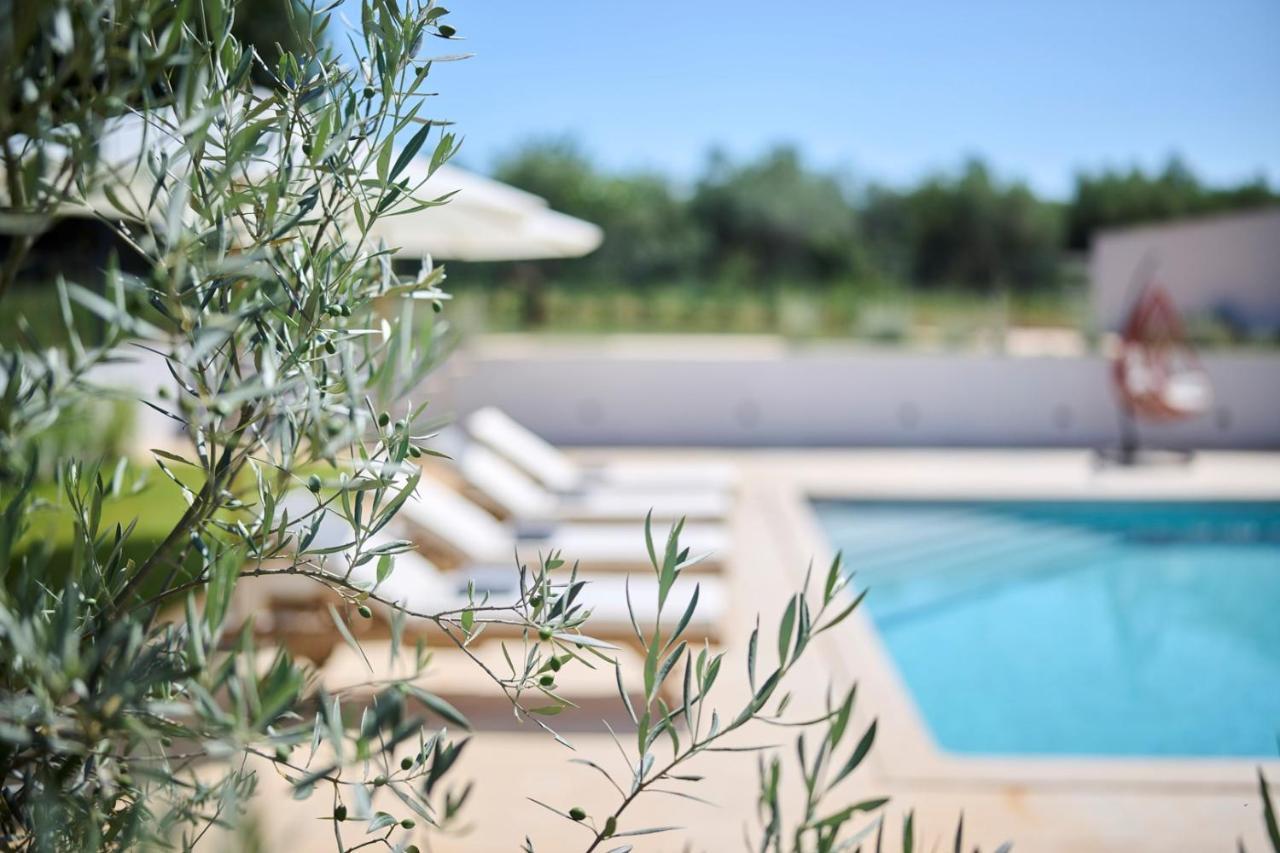 Villa Pura Vida With Pool And Whirlpool Near Umag Materada エクステリア 写真